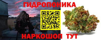 сатива Кинель