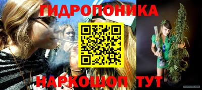 молекула духа Кингисепп