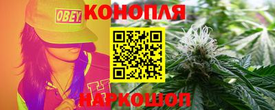 сатива Кинель