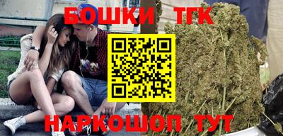 молекула духа Кингисепп