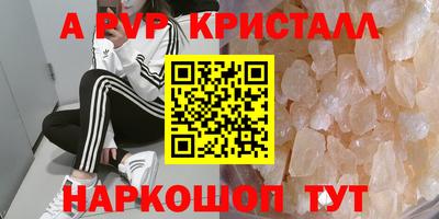 молекула духа Кингисепп