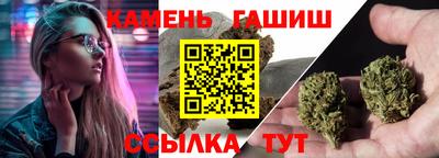 молекула духа Кингисепп