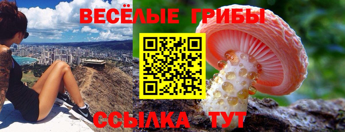 Железногорск  A PVP СК кристаллы  Кокаин  ГАШИШ  Канабис  Магазины продажи наркотиков  Лсд 25  Вход с VPN  ГАШ  ЭКСТАЗИ  Меф кристаллы 