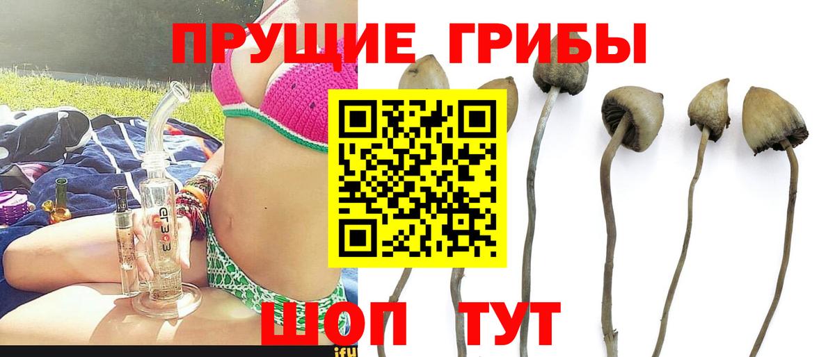 Железногорск  Галлюциногенные грибы ЛСД  Галлюциногенные грибы Cubensis  Вход с VPN 